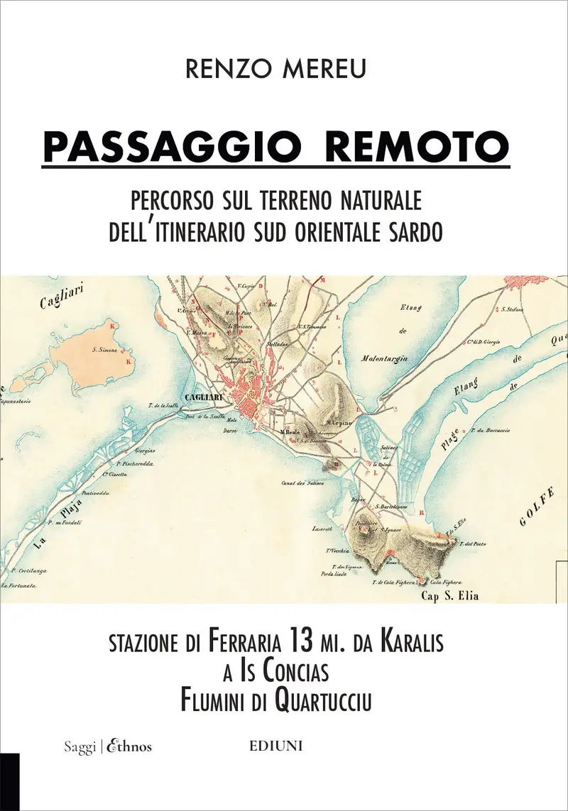 Copertina di Passaggio Remoto